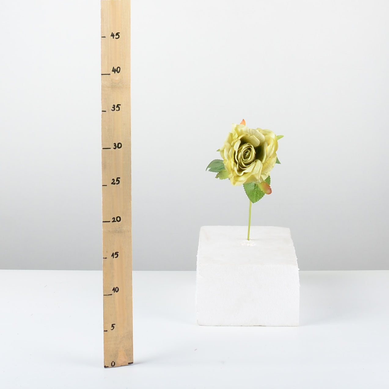 Декоративна роза - baron.bg