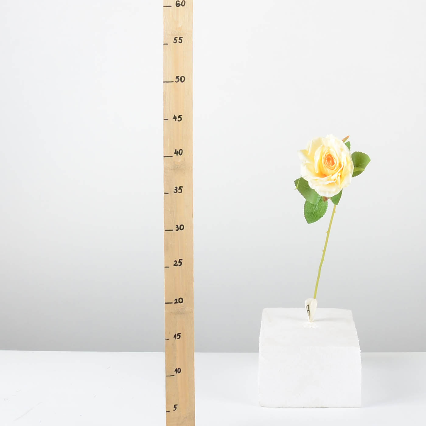 Декоративна роза - baron.bg