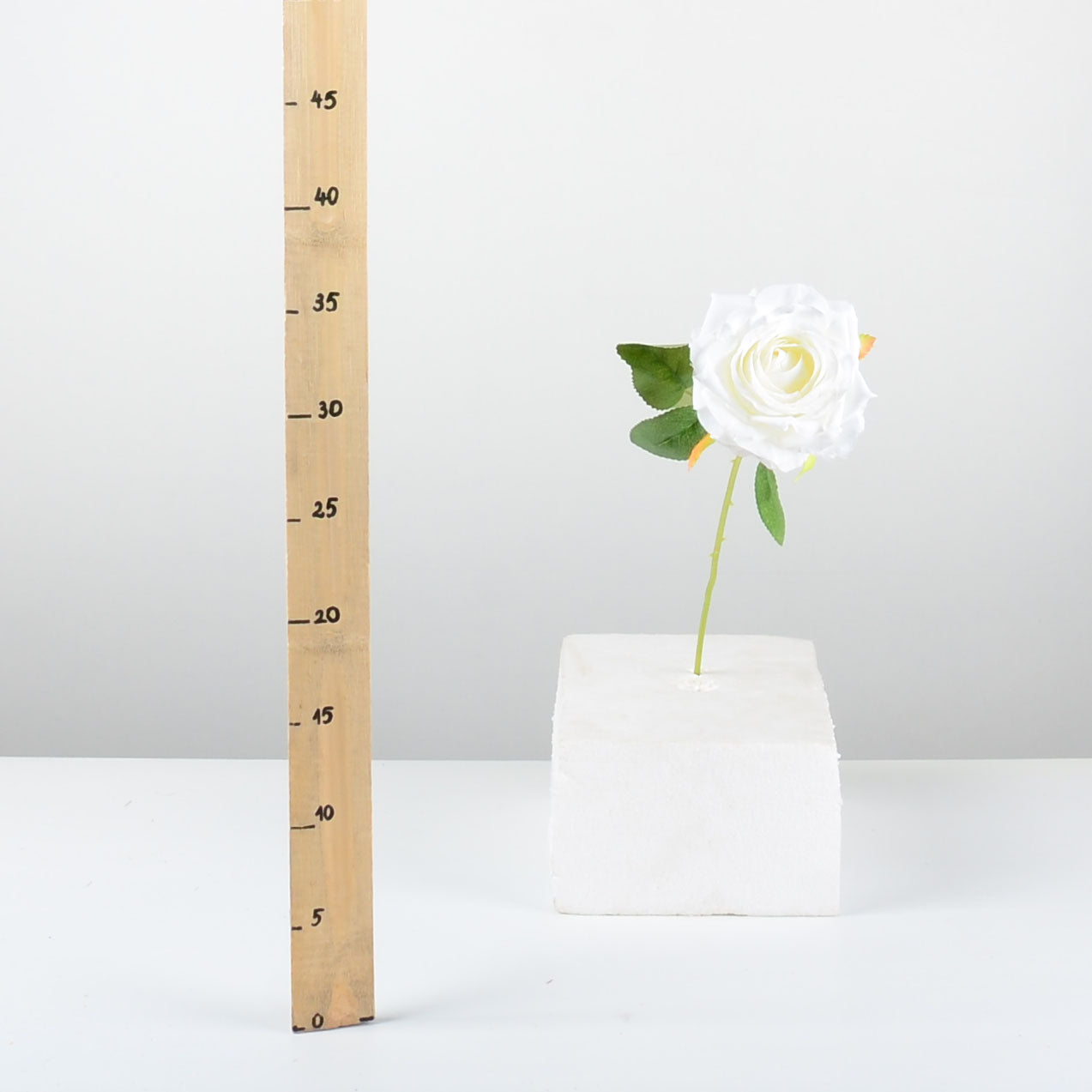 Декоративна роза - baron.bg