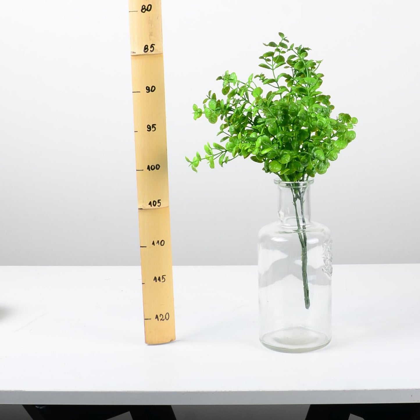 Декоративно растение - baron.bg