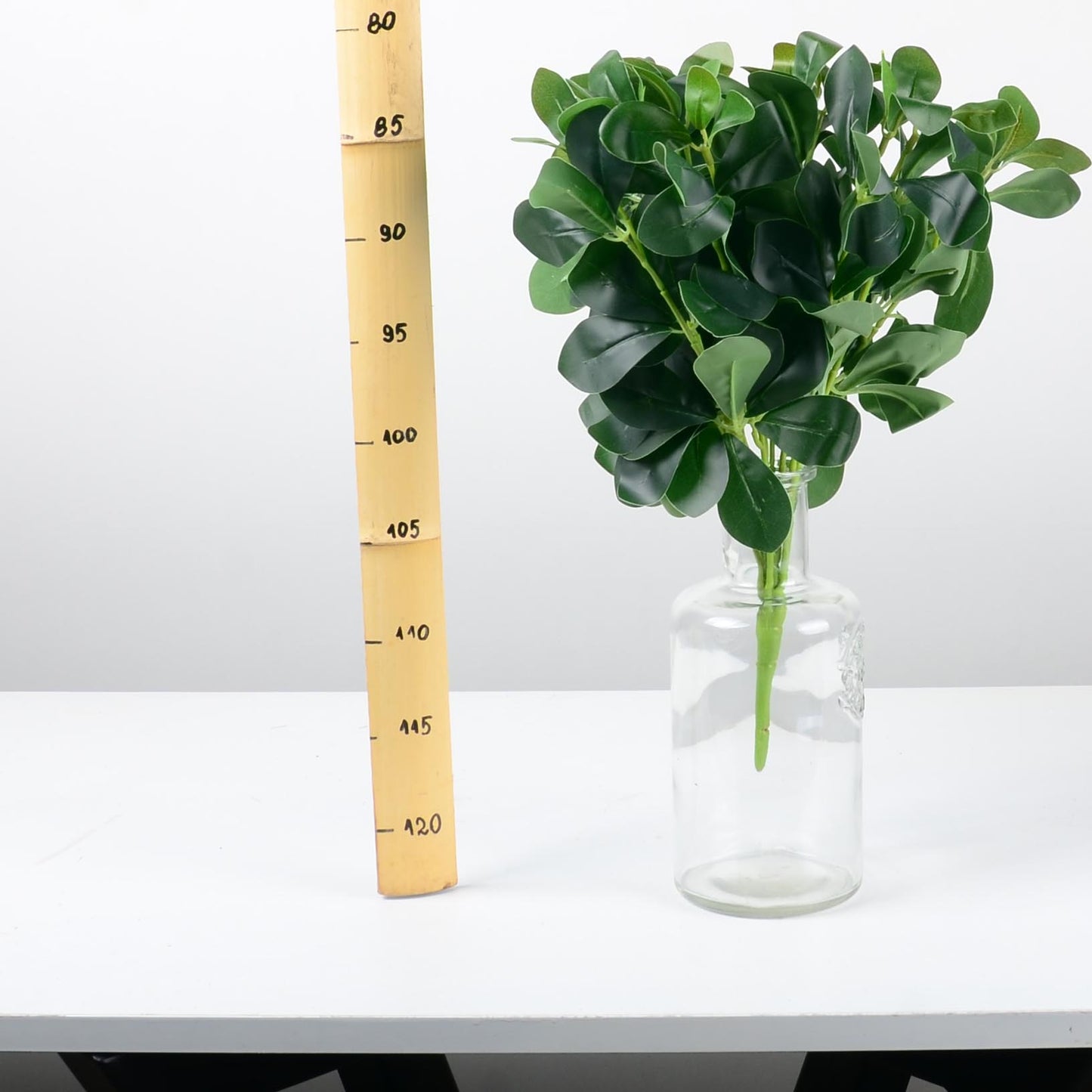 Декоративно растение - baron.bg