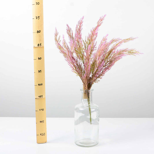 Декоративно растение - baron.bg