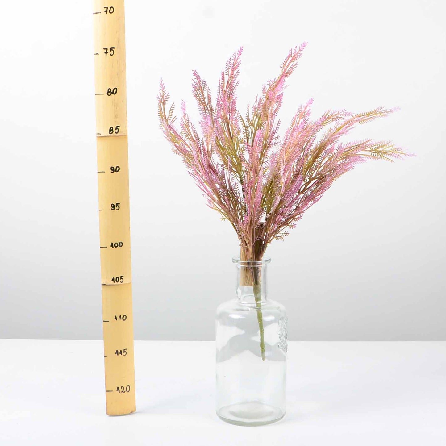 Декоративно растение - baron.bg