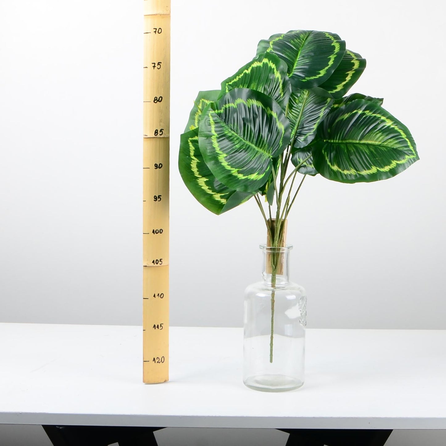 Декоративно растение - baron.bg