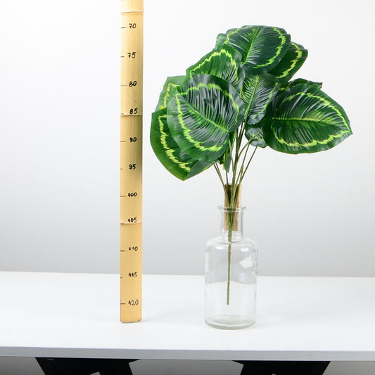 Декоративно растение - baron.bg