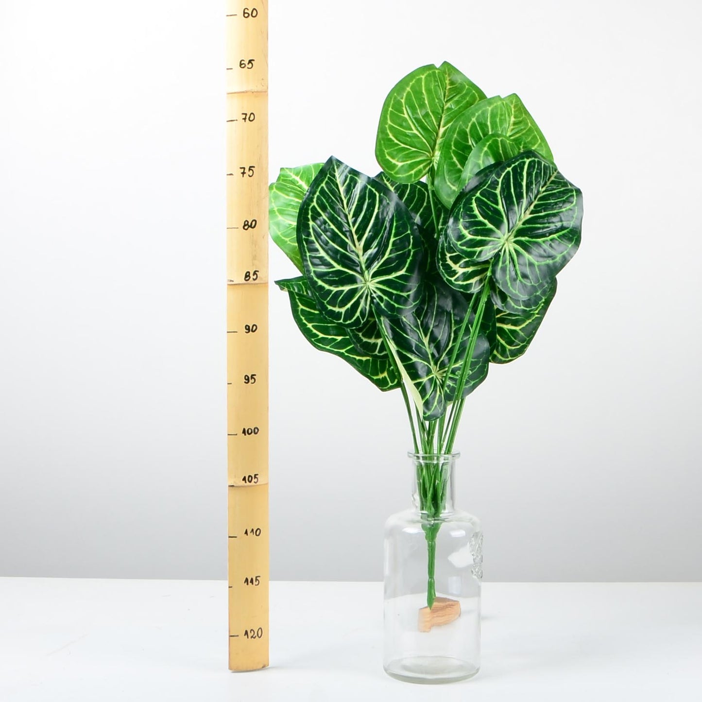 Декоративно растение - baron.bg