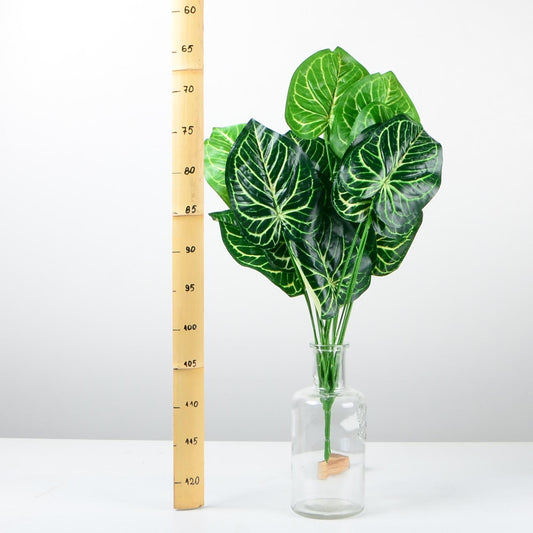 Декоративно растение - baron.bg