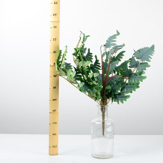 Декоративно растение - baron.bg