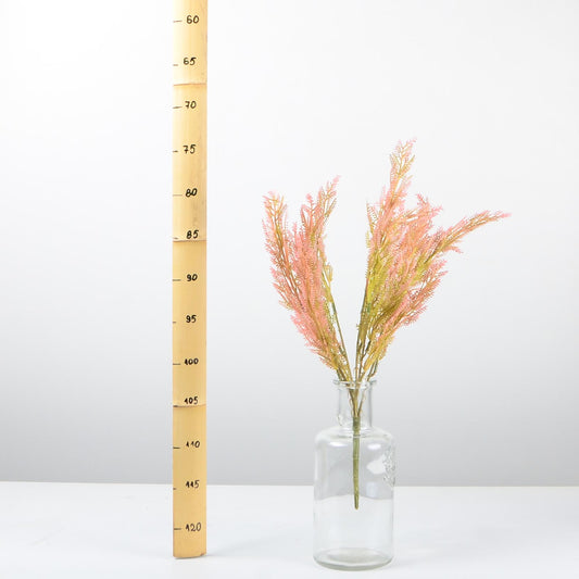 Декоративно растение - baron.bg