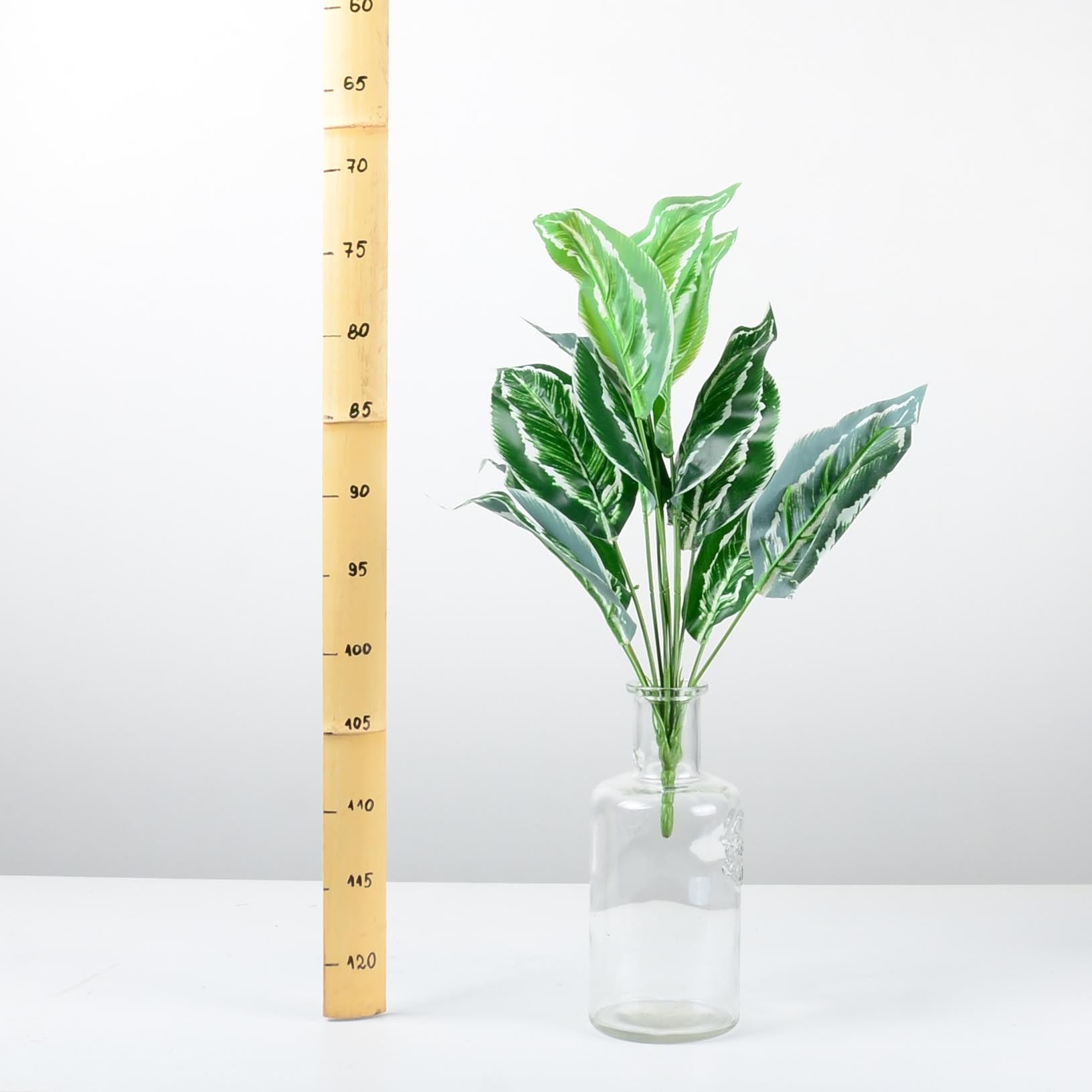 Декоративно растение - baron.bg