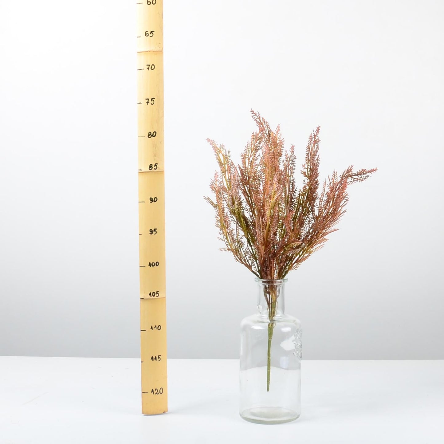 Декоративно растение - baron.bg