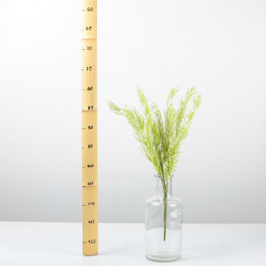 Декоративно растение - baron.bg