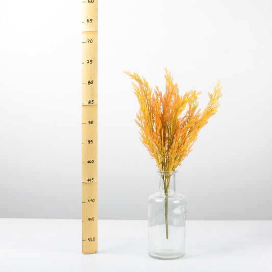 Декоративно растение - baron.bg