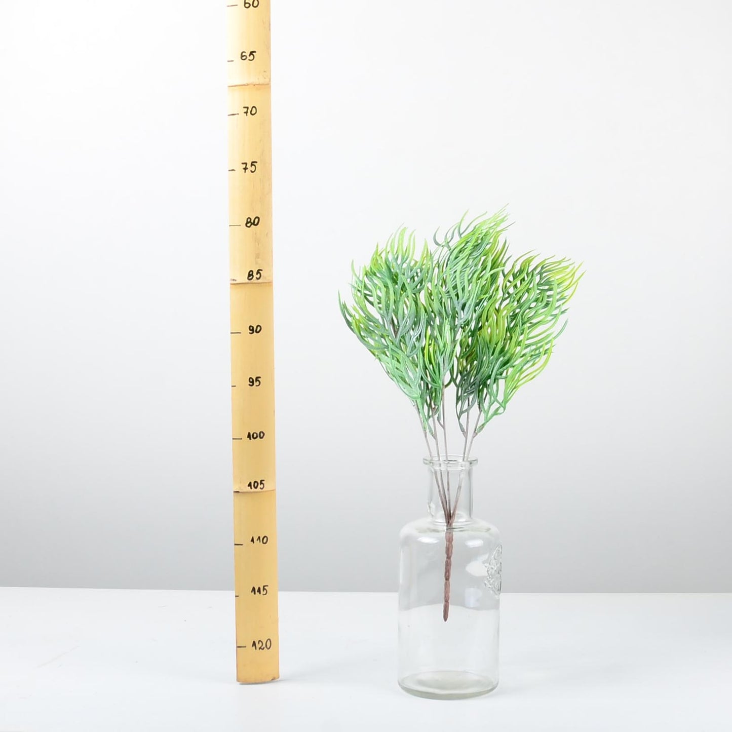 Декоративно растение - baron.bg