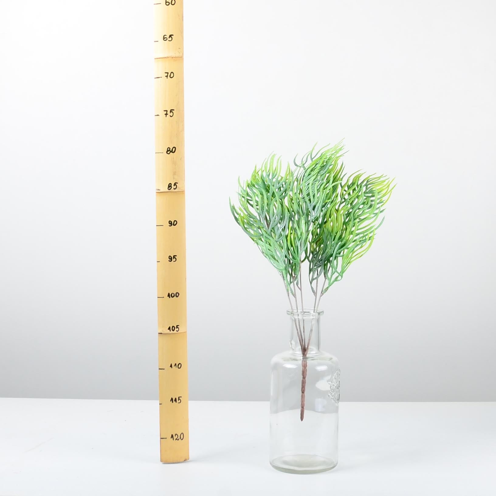 Декоративно растение - baron.bg