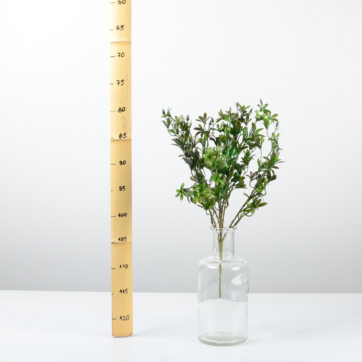 Декоративно растение - baron.bg