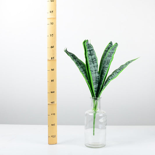 Декоративно растение - baron.bg