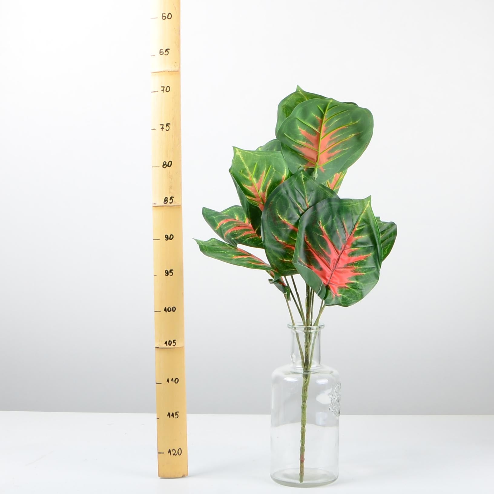 Декоративно растение - baron.bg