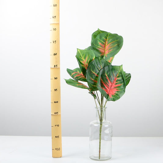 Декоративно растение - baron.bg