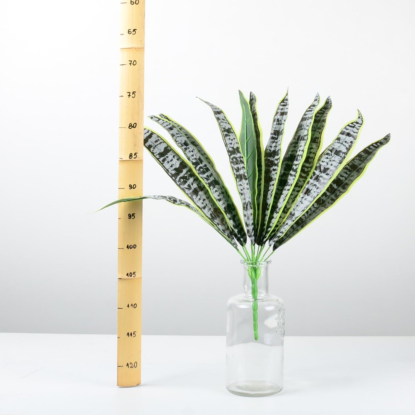 Декоративно растение - baron.bg