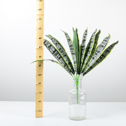 Декоративно растение - baron.bg