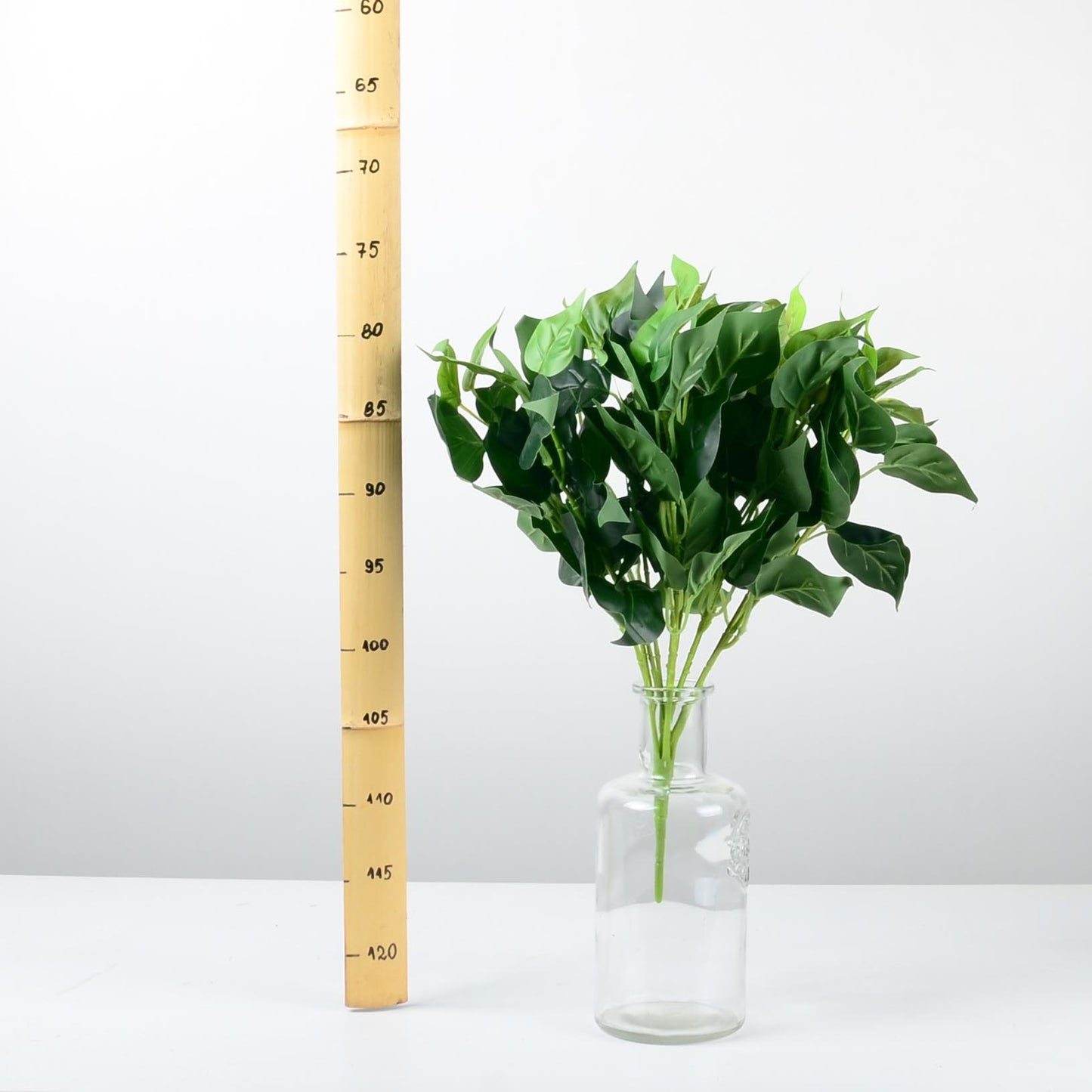 Декоративно растение - baron.bg