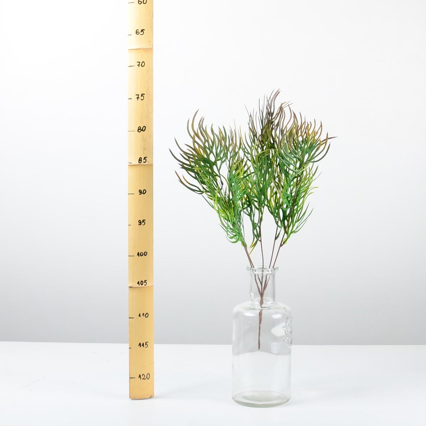 Декоративно растение - baron.bg