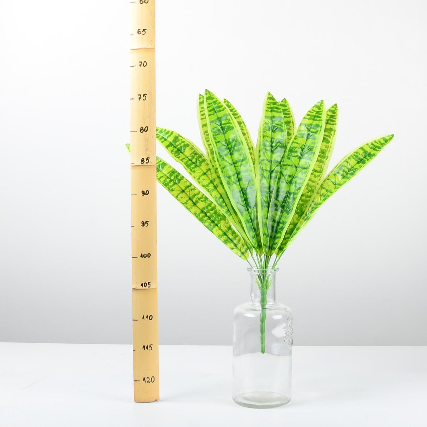 Декоративно растение - baron.bg