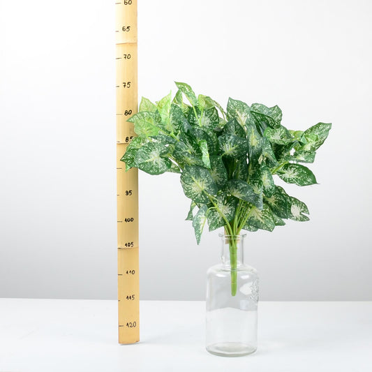 Декоративно растение - baron.bg