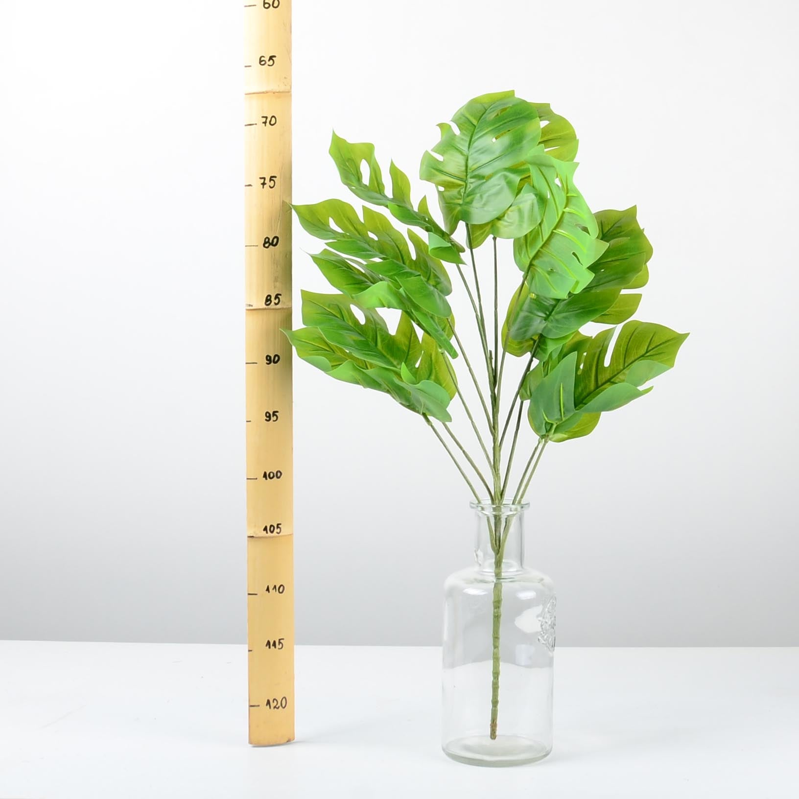 Декоративно растение - baron.bg