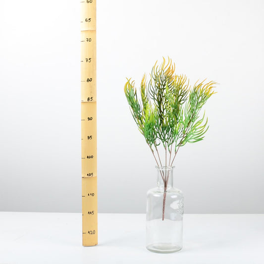 Декоративно растение - baron.bg