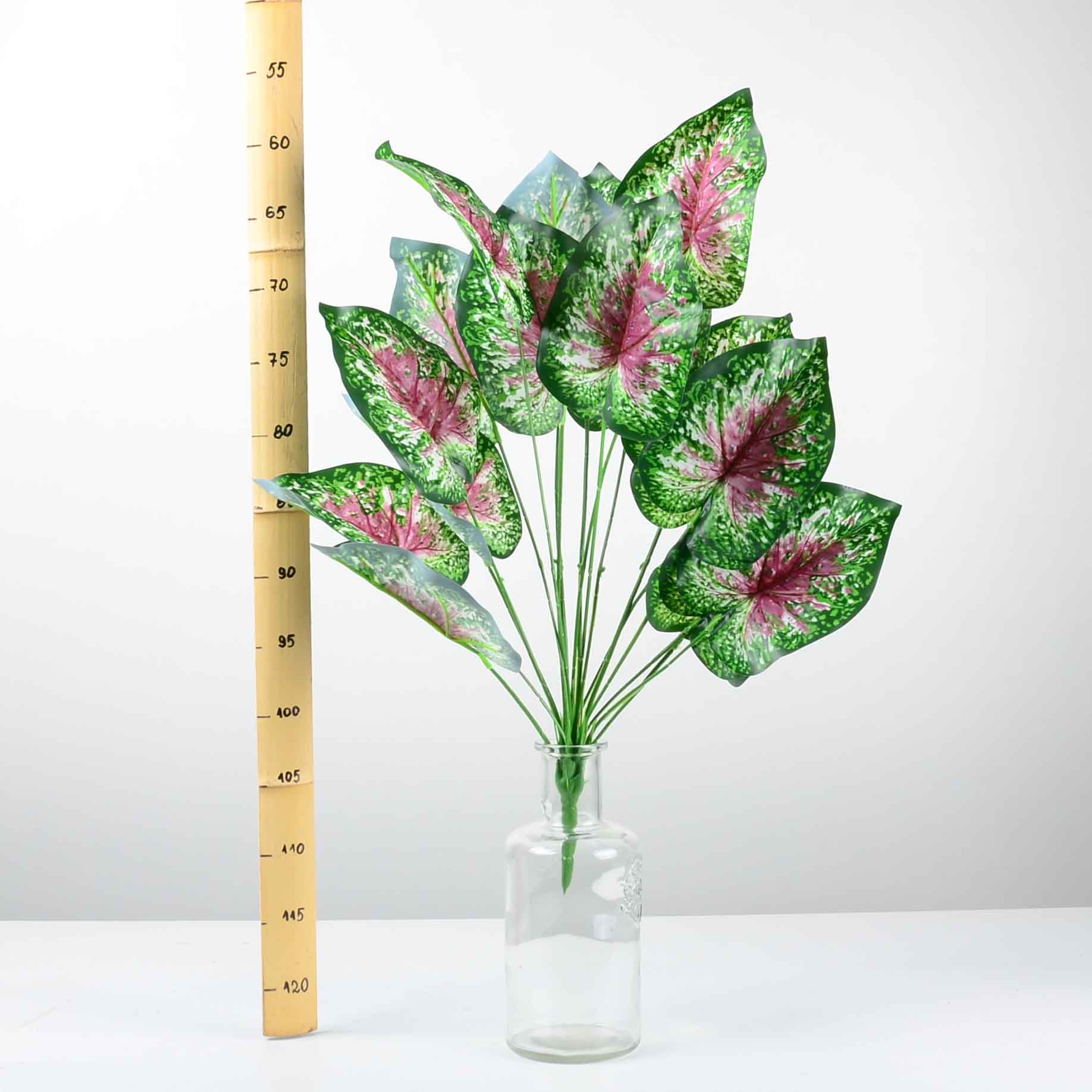 Декоративно растение - baron.bg