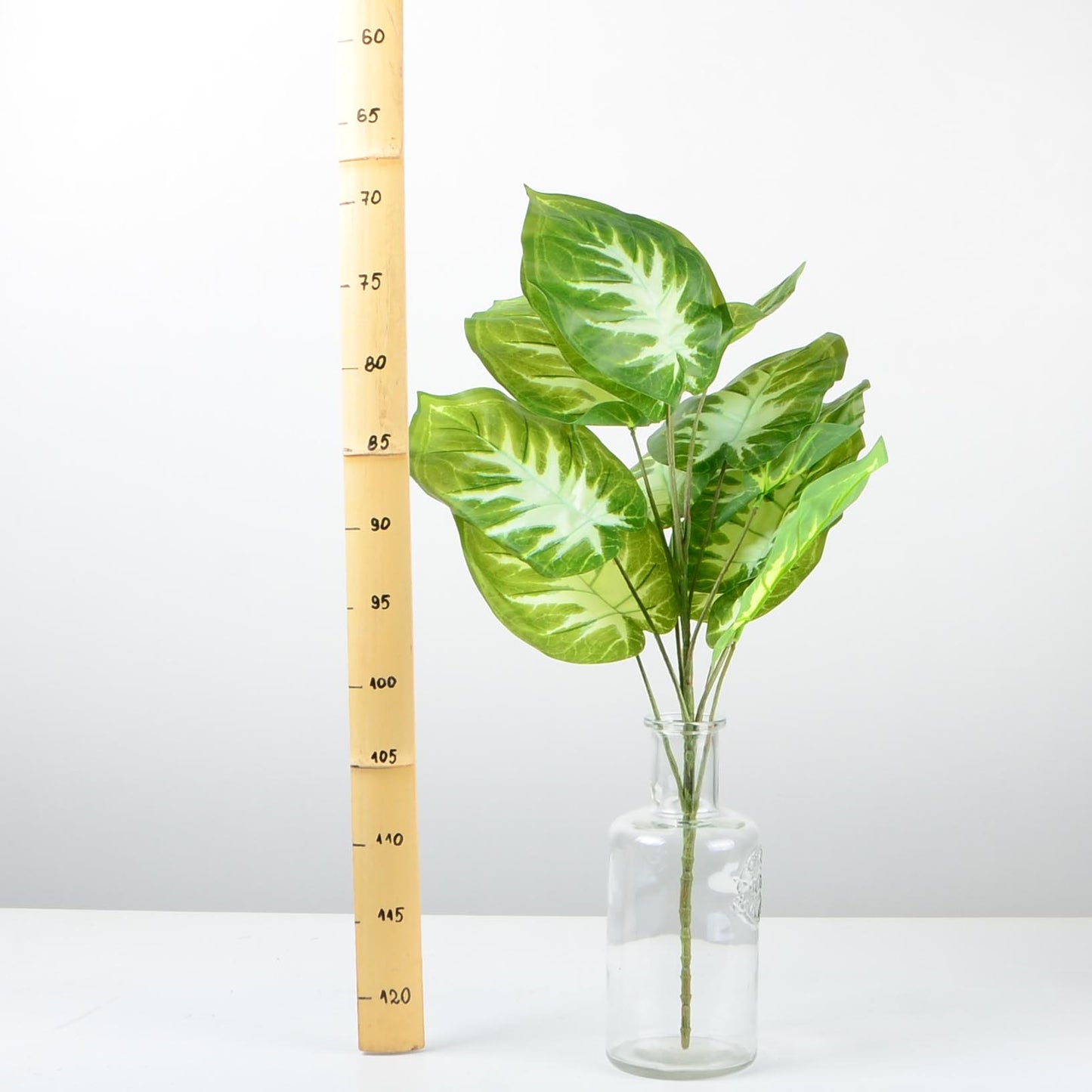 Декоративно растение - baron.bg