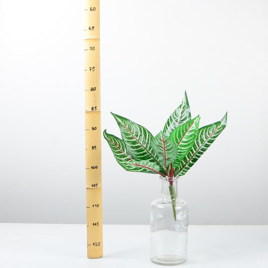 Декоративно растение - baron.bg