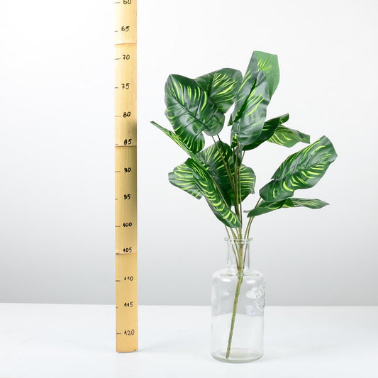 Декоративно растение - baron.bg