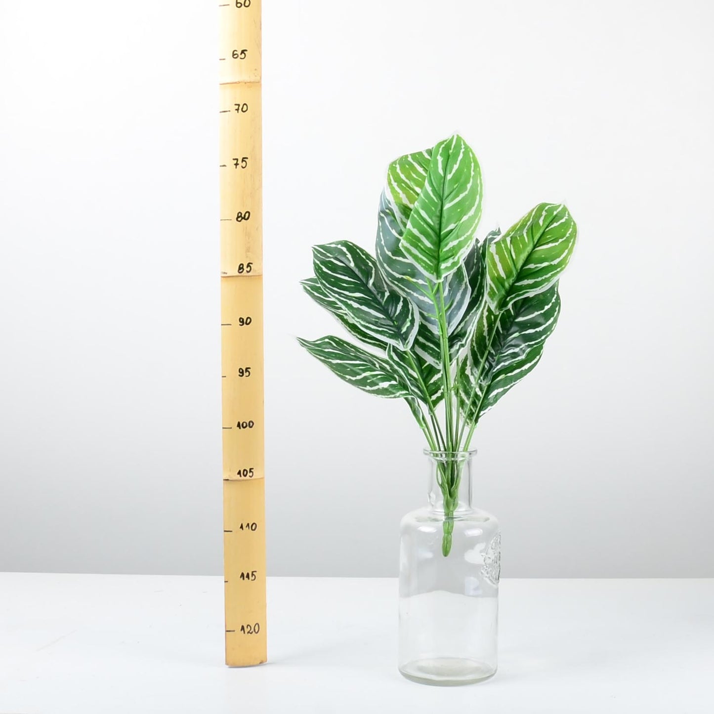 Декоративно растение - baron.bg