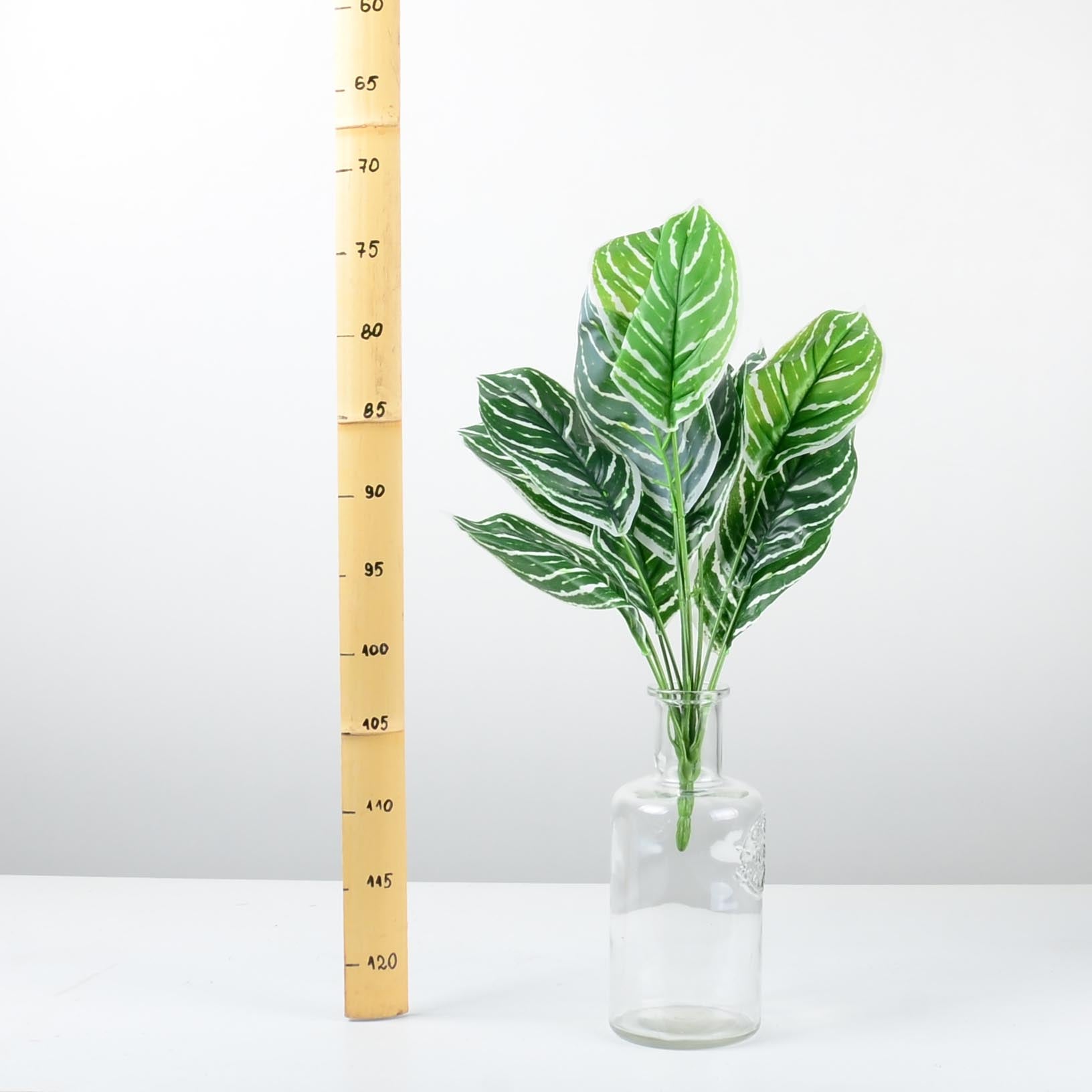 Декоративно растение - baron.bg