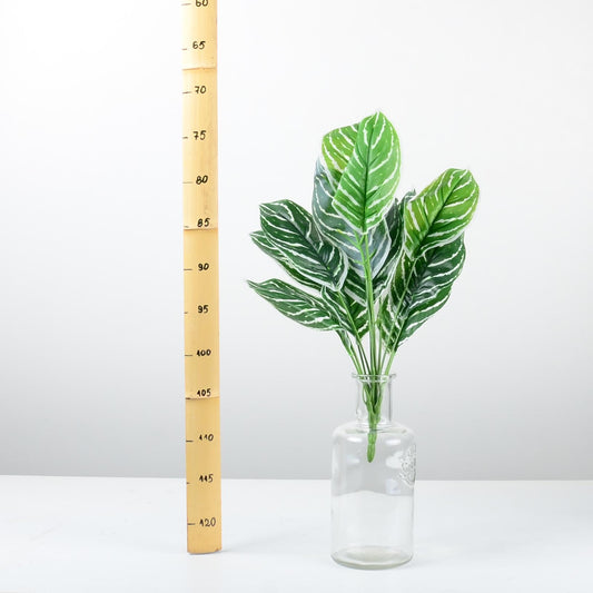 Декоративно растение - baron.bg