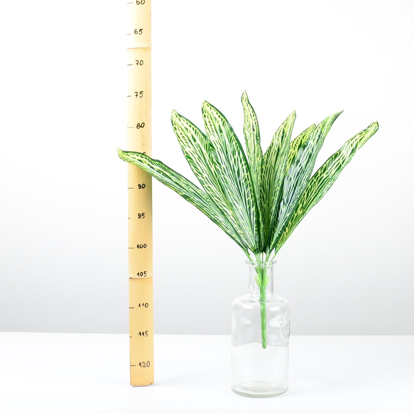 Декоративно растение - baron.bg