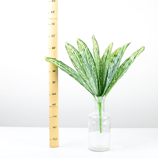 Декоративно растение - baron.bg