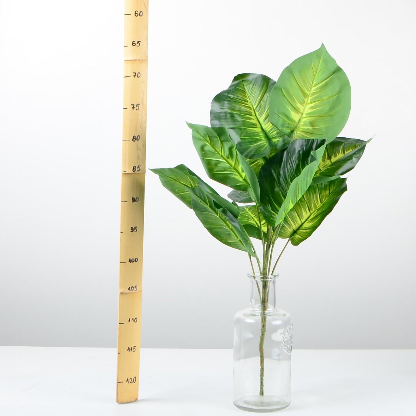 Декоративно растение - baron.bg