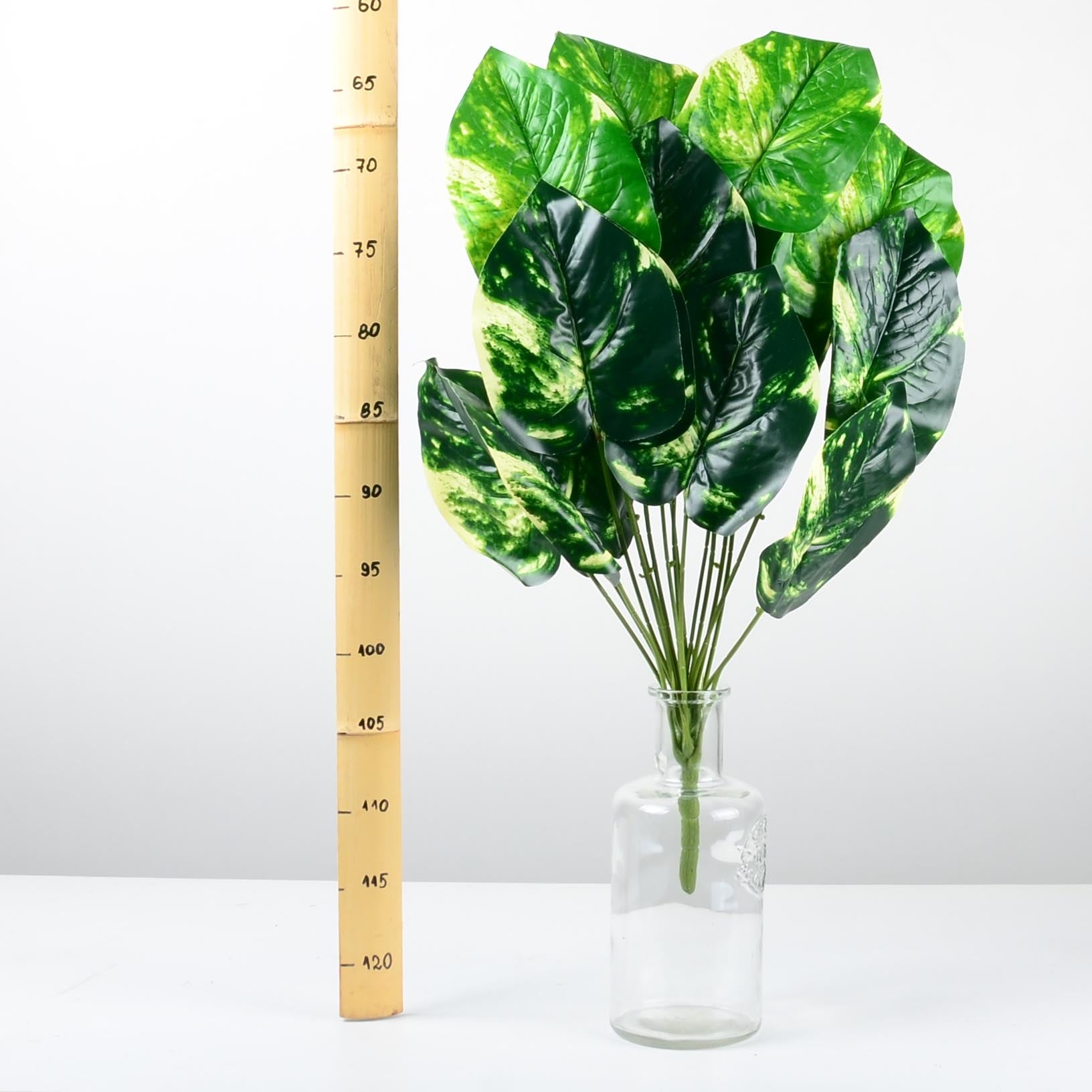 Декоративно растение - baron.bg