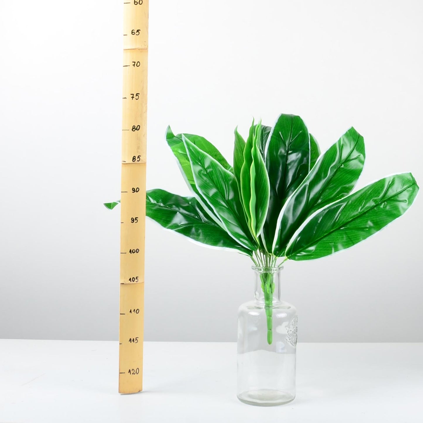 Декоративно растение - baron.bg