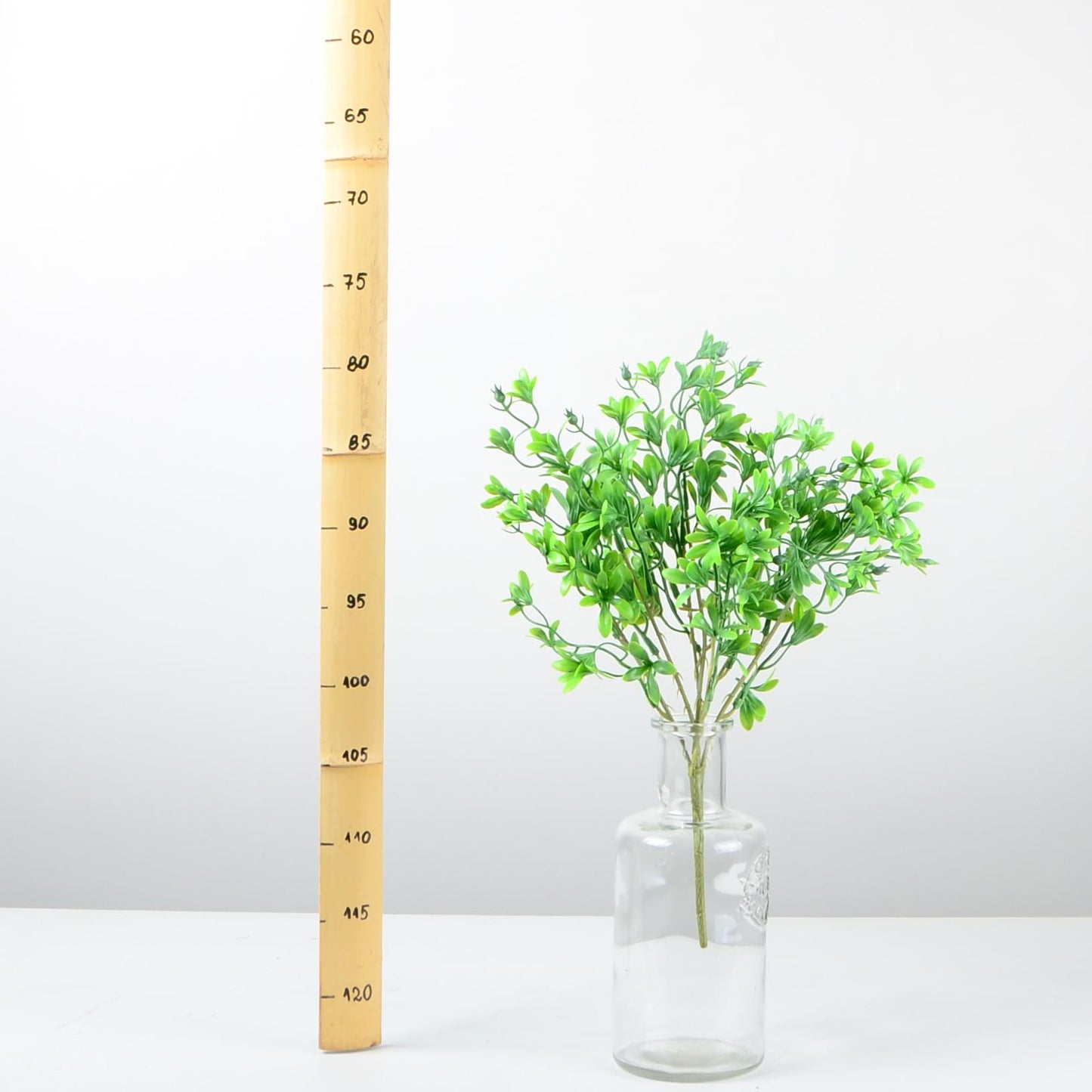 Декоративно растение - baron.bg