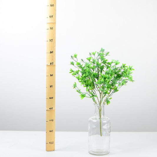 Декоративно растение - baron.bg