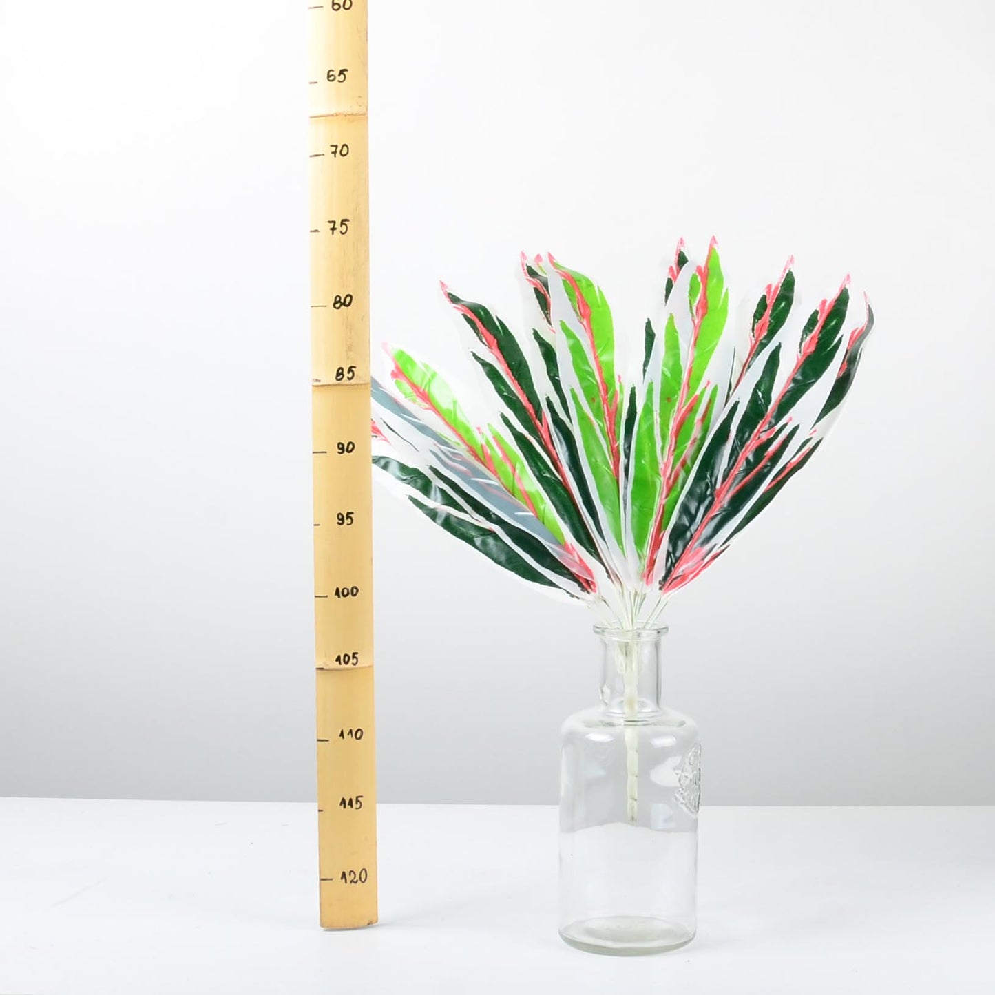 Декоративно растение - baron.bg