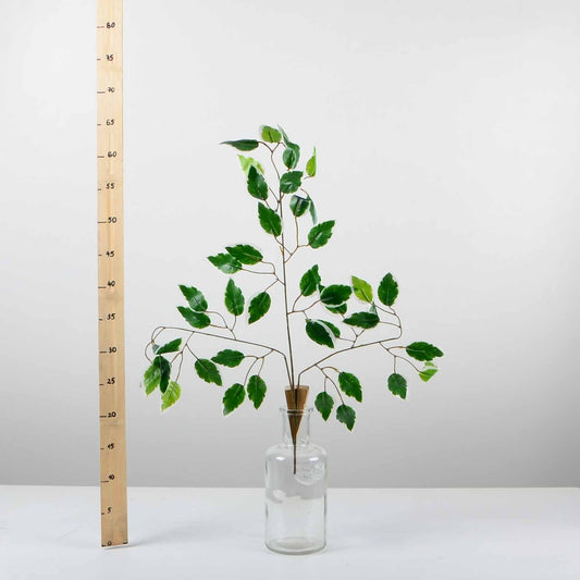 Изкуствени листа - Бенджамин - baron.bg