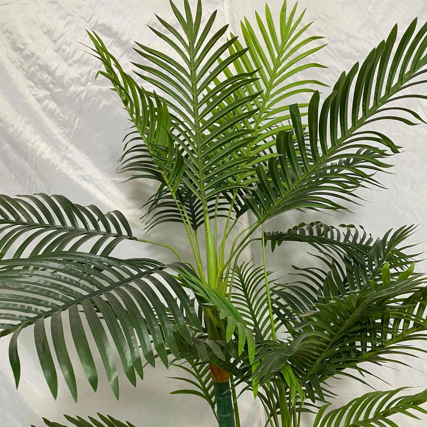 Декоративна палма IP15