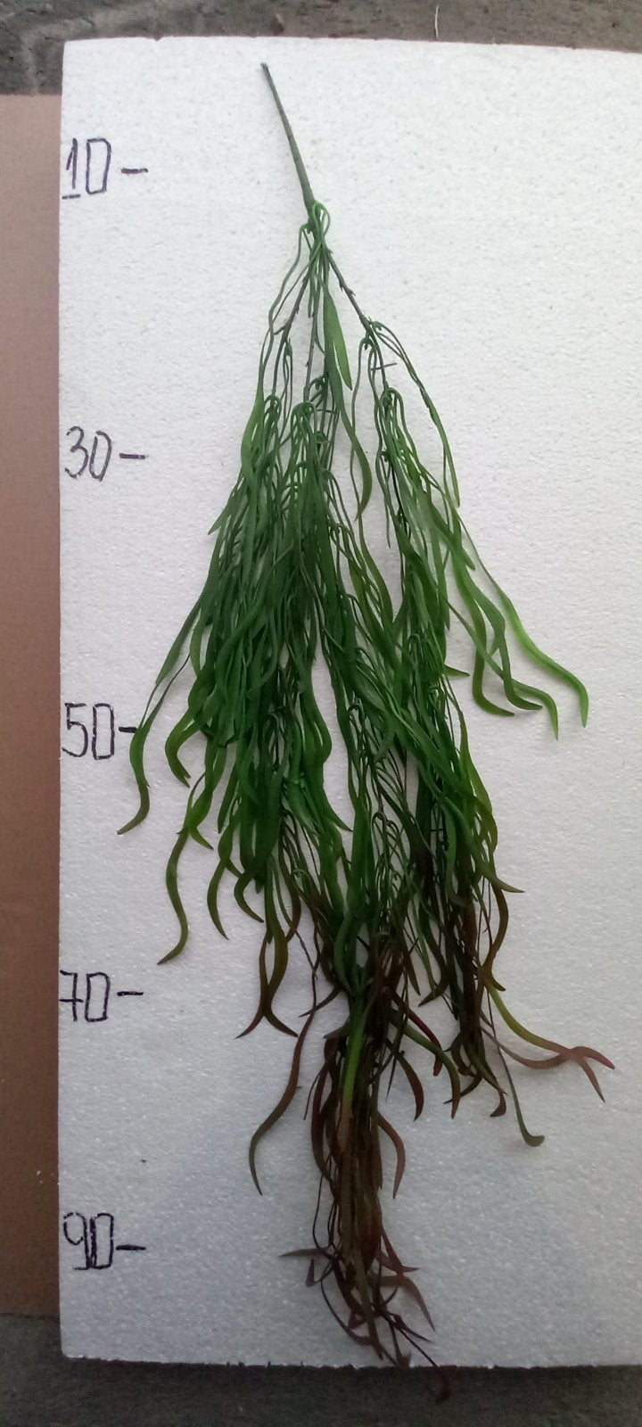 Висящо растение IVR 106A