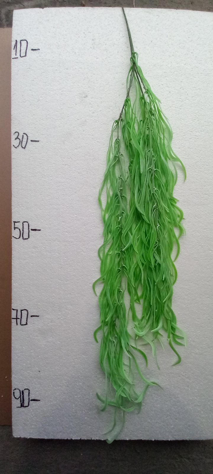 Висящо растение IVR 106B